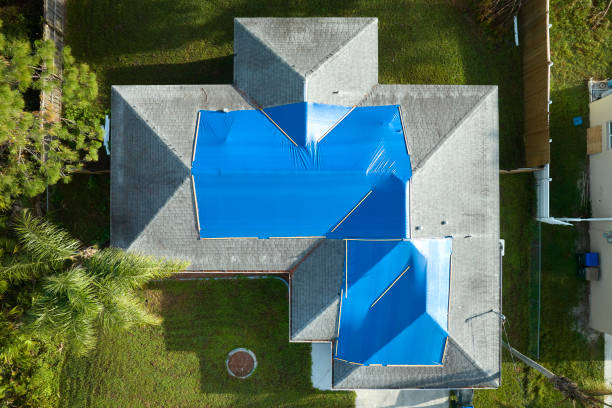 Best Skylights  in Carrollton, AL