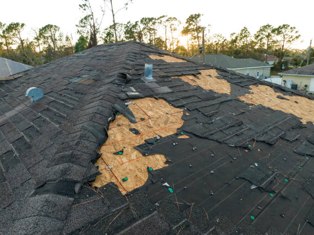 Best Solar Panel Roofing Installation  in Carrollton, AL