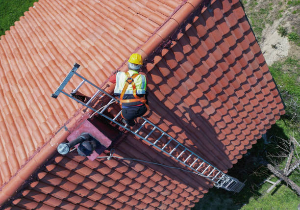 Best Tile Roofing Installation  in Carrollton, AL